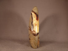 Madagascan Septarian 'Dragon Stone' Standing Display Freeform - 137mm, 683g