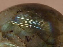 Madagascan Labradorite Freeform Palm Stone - 47mm, 79g