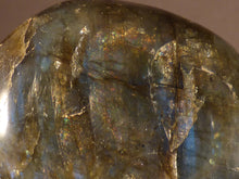 Madagascan Labradorite Freeform Palm Stone - 47mm, 70g