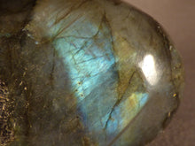 Madagascan Labradorite Freeform Palm Stone - 53mm, 56g