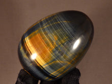 Large Variegated Blue & Gold Tiger's Eye Egg - 78mm, 370g