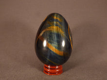 Large Variegated Blue & Gold Tiger's Eye Egg - 78mm, 323g