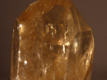 Natural Congo Citrine Crystal Point - 33mm, 16g