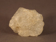 Large Madagascan Moonstone Rough Natural Specimen - 48mm, 159g