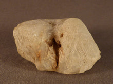 Large Madagascan Moonstone Rough Natural Specimen - 56mm, 121g
