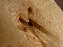 Large Madagascan Moonstone Rough Natural Specimen - 56mm, 121g