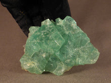 Riemvasmaak Green Fluorite Natural Specimen - 92mm, 257g