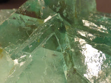 Riemvasmaak Green Fluorite Natural Specimen - 78mm, 238g