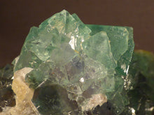 Riemvasmaak Green Fluorite Natural Specimen - 81mm, 169g