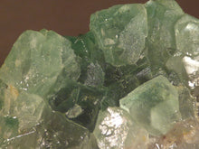 Riemvasmaak Green Fluorite Natural Specimen - 55mm, 141g
