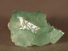 Riemvasmaak Green Fluorite Natural Specimen - 55mm, 63g