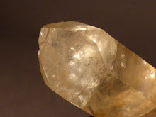 Natural Congo Citrine Crystal Point - 37mm, 10g