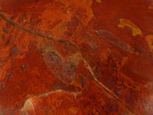 Madagascan Petrified Podocarpus Wood Freeform Palm Stone - 52mm, 130g