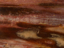 Madagascan Petrified Podocarpus Wood Freeform Palm Stone - 58mm, 116g