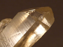 Natural Congo Citrine Crystal Cluster Point - 52mm, 34g