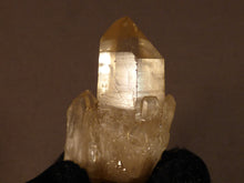 Natural Congo Citrine Crystal Point - 46mm, 34g