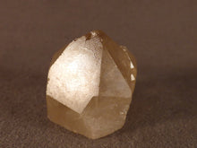 Natural Congo Citrine Crystal Point - 31mm, 29g