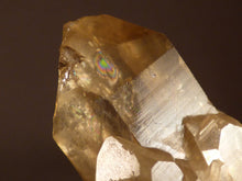 Natural Congo Citrine Crystal Point - 57mm, 29g
