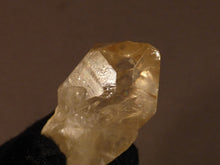 Natural Congo Citrine Crystal Point - 48mm, 27g