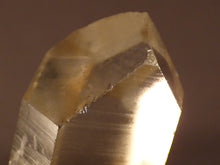 Natural Congo Citrine Crystal Point - 41mm, 26g