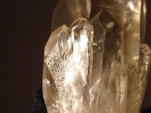 Congo Citrine Crystal Point - 40mm, 17g