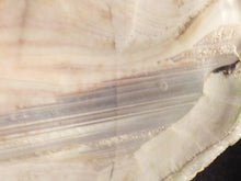 Polished Mozambique White Agate Slice - 82mm, 182g