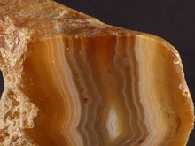 Polished Standing Mozambique Agate Slice - 62mm, 164g