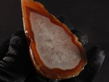 Polished Mozambique Agate Geode - 80mm, 139g