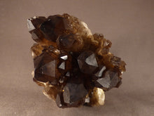 Large Natural Congo Smoky Citrine Crystal Cluster - 117mm, 1022g