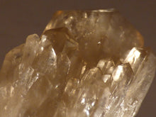 Natural Congo Citrine Cluster Crystal Point - 65mm, 65g