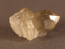 Natural Congo Citrine Cluster Crystal Point - 55mm, 62g