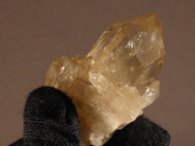 Natural Congo Citrine Cluster Crystal Point - 55mm, 62g