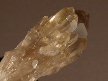 Natural Congo Citrine Cluster Crystal Point - 71mm, 59g