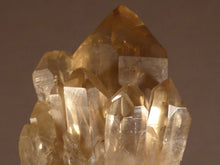 Natural Congo Citrine Cluster Crystal Point - 71mm, 59g