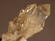 Natural Congo Citrine Cluster Crystal Point - 68mm, 47g