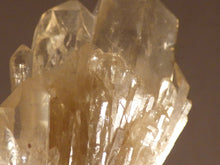 Natural Congo Citrine Cluster Crystal Point - 68mm, 47g