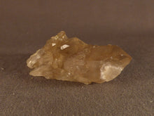 Natural Congo Citrine Crystal Cluster - 69mm, 40g