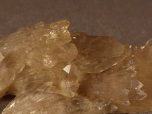 Natural Congo Citrine Crystal Cluster - 69mm, 40g