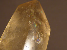 Polished Zambian Natural Citrine Standing Crystal Point - 40mm, 16g