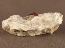Namibian Natural Red Pyrope Garnet in Quartz Specimen - 60mm, 54g