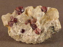 Namibian Natural Red Pyrope Garnet in Quartz Specimen - 41mm, 43g