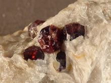 Namibian Natural Red Pyrope Garnet in Quartz Specimen - 41mm, 36g