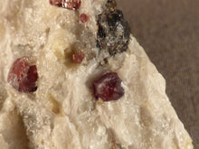 Namibian Natural Red Pyrope Garnet in Quartz Specimen - 50mm, 29g