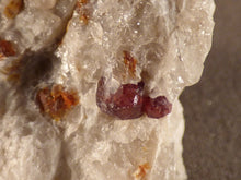 Namibian Natural Red Pyrope Garnet in Quartz Specimen - 35mm, 24g