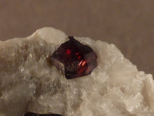 Namibian Natural Red Pyrope Garnet in Quartz Specimen - 35mm, 22g