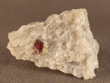 Namibian Natural Red Pyrope Garnet in Quartz Specimen - 40mm, 21g