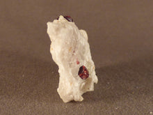 Namibian Natural Red Pyrope Garnet in Quartz Specimen - 49mm, 19g