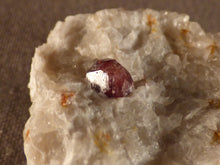 Namibian Natural Red Pyrope Garnet in Quartz Specimen - 30mm, 19g