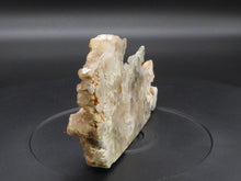 Madagascan Semi Polished Crystalline Agate Geode - 100mm, 95g