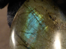 Labradorite Freeform Palm Stone - 68mm, 162g